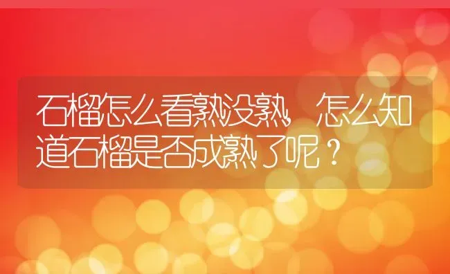 石榴怎么看熟没熟,怎么知道石榴是否成熟了呢？ | 养殖常见问题