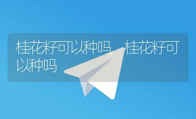 桂花籽可以种吗,桂花籽可以种吗 | 养殖常见问题