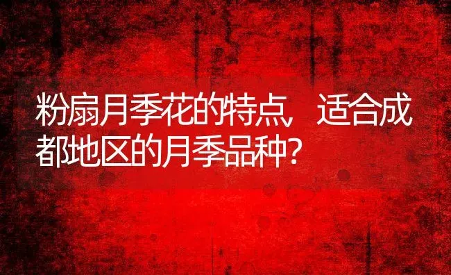 粉扇月季花的特点,适合成都地区的月季品种？ | 养殖常见问题