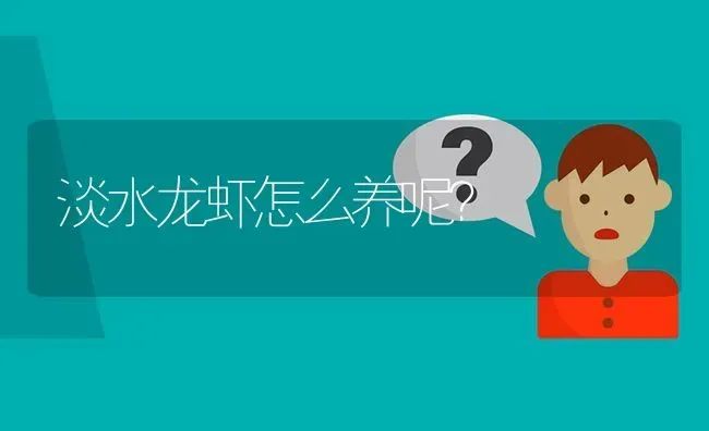 淡水龙虾怎么养呢? | 养殖问题解答