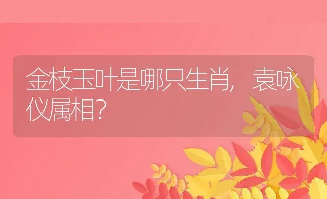 金枝玉叶是哪只生肖,袁咏仪属相？ | 养殖常见问题