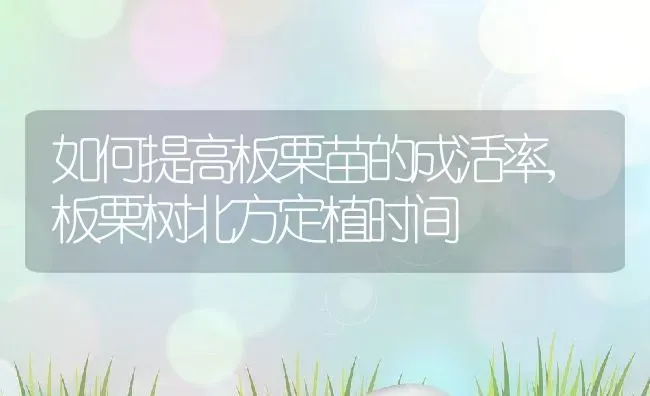 如何提高板栗苗的成活率,板栗树北方定植时间 | 养殖常见问题