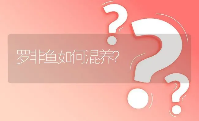 罗非鱼如何混养? | 养殖问题解答