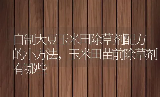 自制大豆玉米田除草剂配方的小方法,玉米田苗前除草剂有哪些 | 养殖常见问题