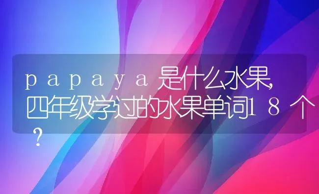 papaya是什么水果,四年级学过的水果单词18个？ | 养殖常见问题