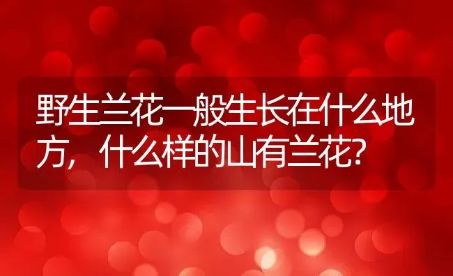 野生兰花一般生长在什么地方,什么样的山有兰花？ | 养殖常见问题