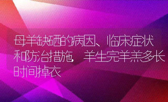 母羊缺硒的病因、临床症状和防治措施,羊生完羊羔多长时间掉衣 | 养殖常见问题