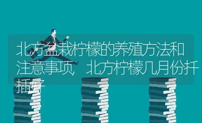 北方盆栽柠檬的养殖方法和注意事项,北方柠檬几月份扦插好 | 养殖常见问题