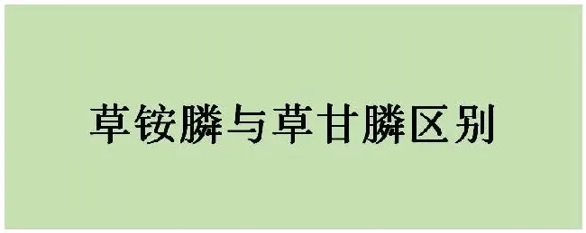 草铵膦与草甘膦区别 | 三农答疑