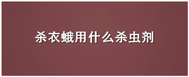 杀衣蛾用什么杀虫剂 | 三农问答