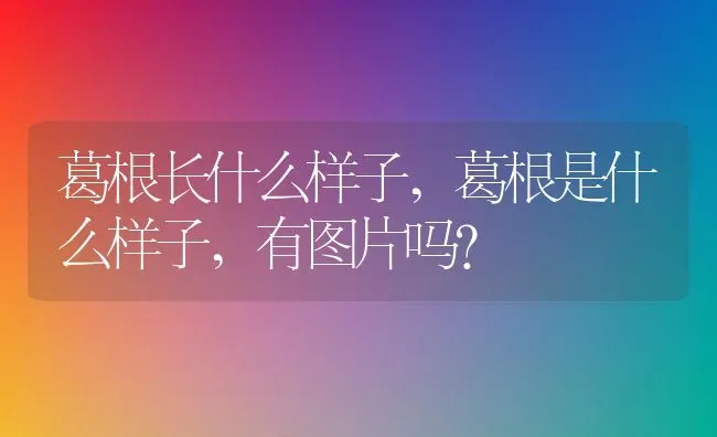 葛根长什么样子,葛根是什么样子,有图片吗？ | 养殖常见问题