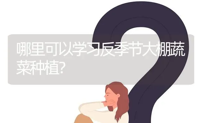 哪里可以学习反季节大棚蔬菜种植? | 养殖问题解答