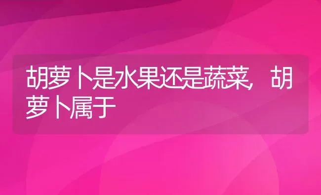 胡萝卜是水果还是蔬菜,胡萝卜属于 | 养殖常见问题