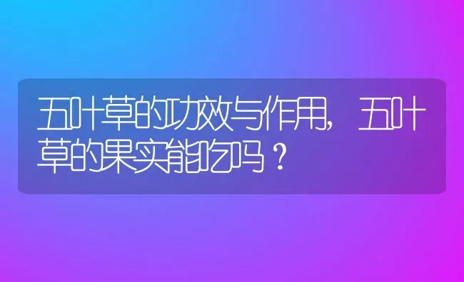 五叶草的功效与作用,五叶草的果实能吃吗？ | 养殖常见问题