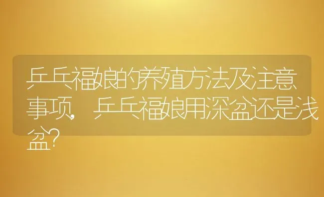 乒乓福娘的养殖方法及注意事项,乒乓福娘用深盆还是浅盆？ | 养殖常见问题