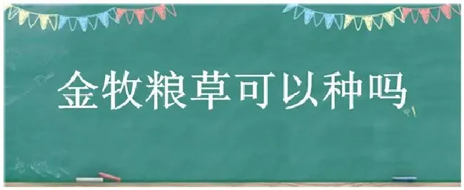 金牧粮草可以种吗 | 三农问答
