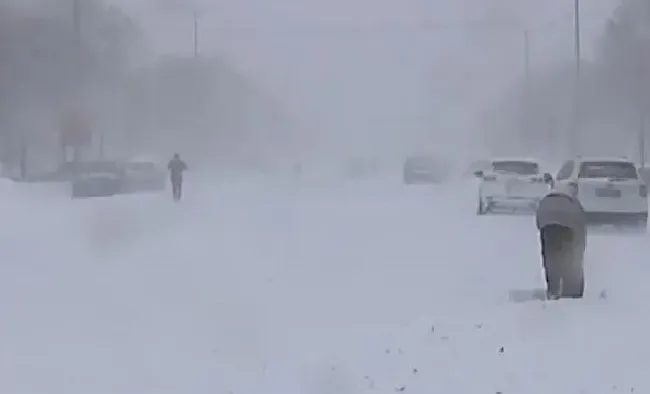 植物常识问题|内蒙古通辽降雪46小时积雪深度破纪录 火车“破雪”前行