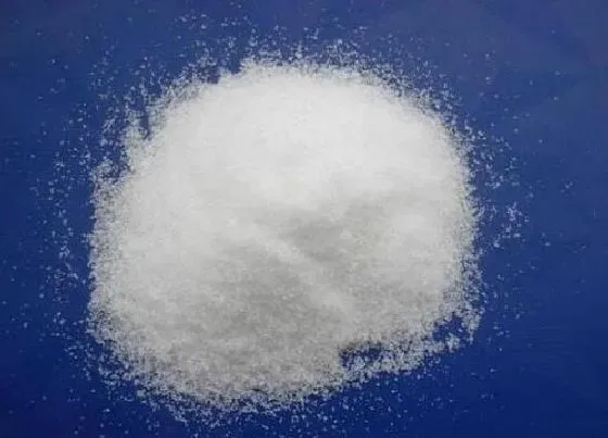 植物常识问题|用磷酸二氢钾给米兰花催花需要注意些什么