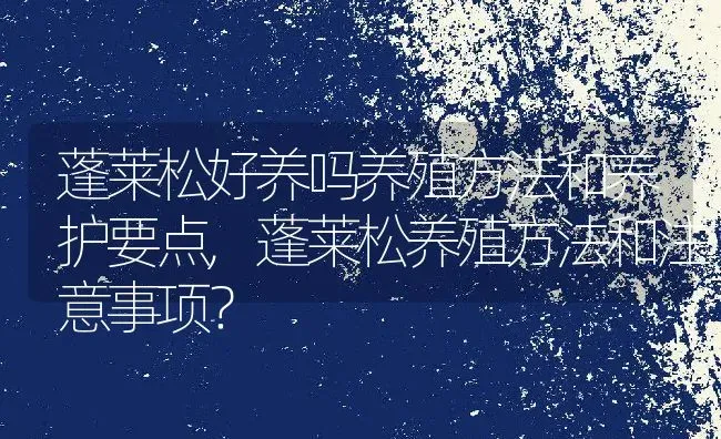 蓬莱松好养吗养殖方法和养护要点,蓬莱松养殖方法和注意事项？ | 养殖常见问题
