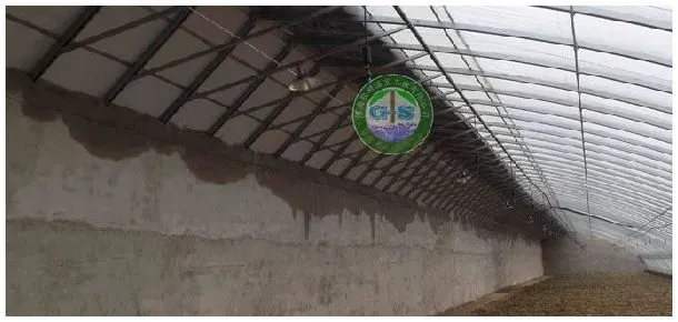 怎么建设温室大棚墙体 | 三农问答