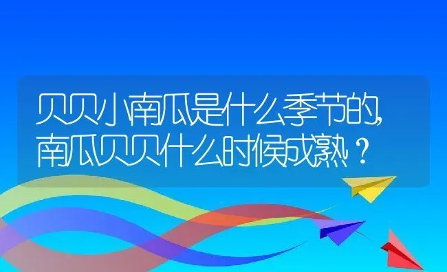 贝贝小南瓜是什么季节的,南瓜贝贝什么时候成熟？ | 养殖常见问题