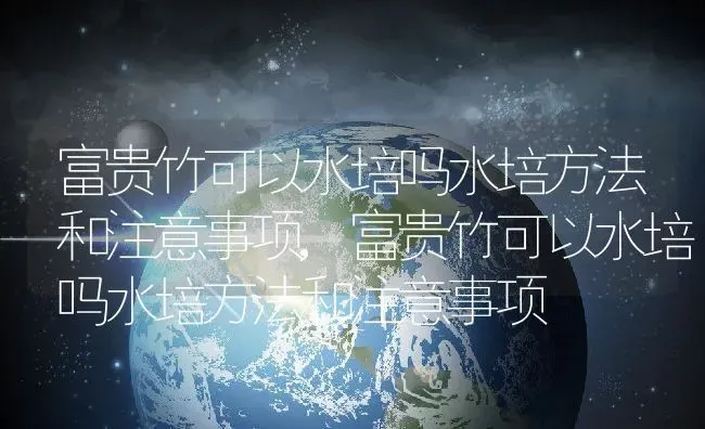 富贵竹可以水培吗水培方法和注意事项,富贵竹可以水培吗水培方法和注意事项 | 养殖常见问题