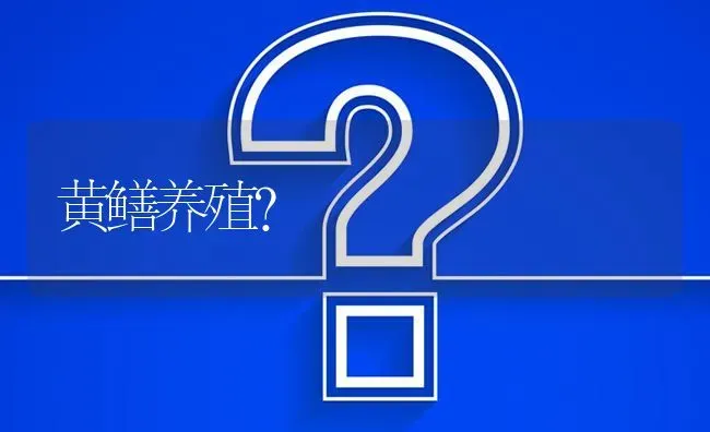 黄鳝养殖? | 养殖问题解答