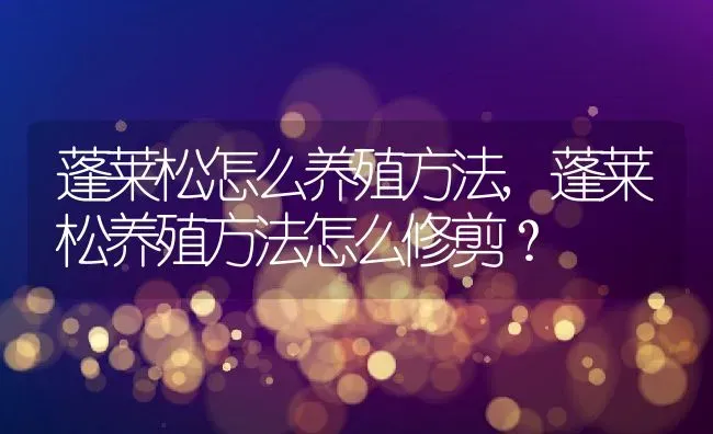 蓬莱松怎么养殖方法,蓬莱松养殖方法怎么修剪？ | 养殖常见问题