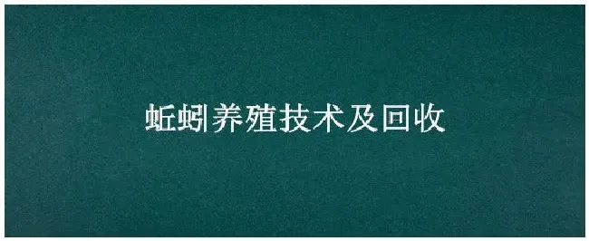 蚯蚓养殖技术及回收 | 农业问题