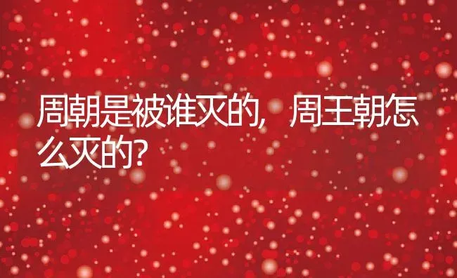 周朝是被谁灭的,周王朝怎么灭的？ | 养殖常见问题