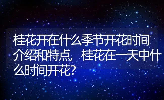 桂花开在什么季节开花时间介绍和特点,桂花在一天中什么时间开花？ | 养殖常见问题