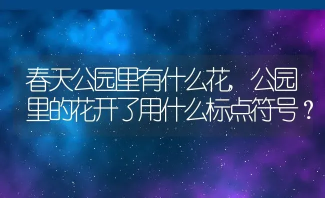 春天公园里有什么花,公园里的花开了用什么标点符号？ | 养殖常见问题