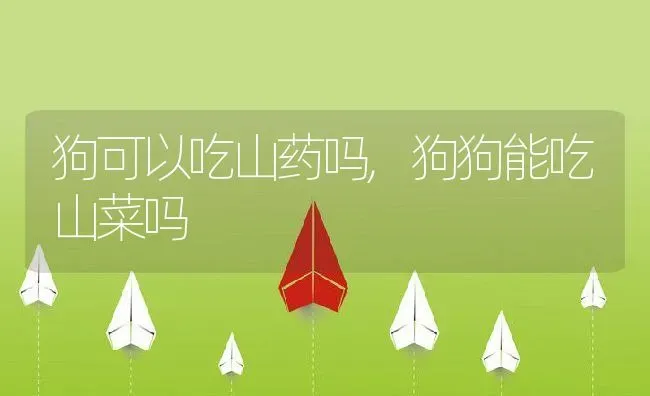 狗可以吃山药吗,狗狗能吃山菜吗 | 养殖常见问题