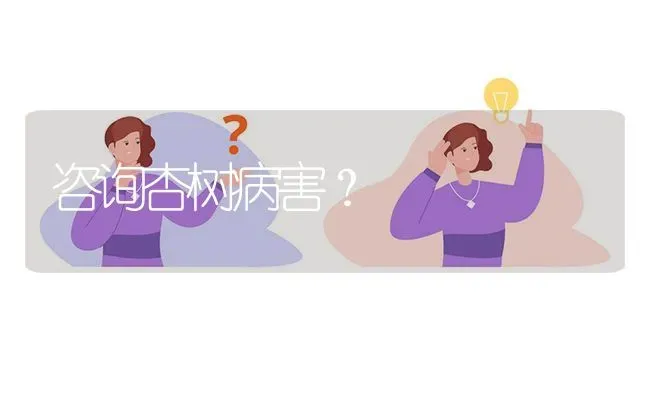 咨询杏树病害? | 养殖问题解答