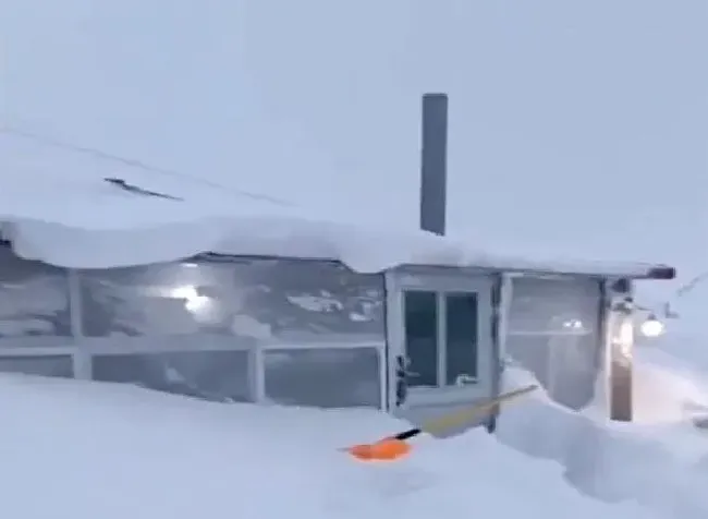 植物常识问题|内蒙古通辽降雪46小时积雪深度破纪录 火车“破雪”前行