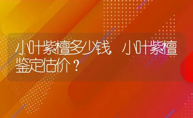 小叶紫檀多少钱,小叶紫檀鉴定估价？ | 养殖常见问题