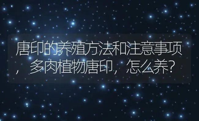 唐印的养殖方法和注意事项,多肉植物唐印，怎么养？ | 养殖常见问题