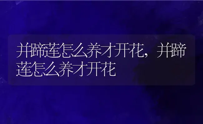 并蹄莲怎么养才开花,并蹄莲怎么养才开花 | 养殖常见问题