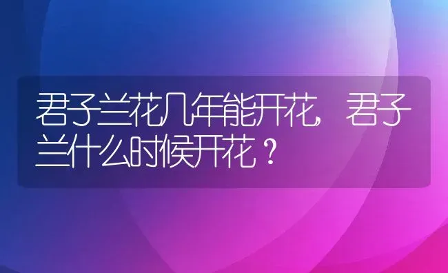 君子兰花几年能开花,君子兰什么时候开花？ | 养殖常见问题