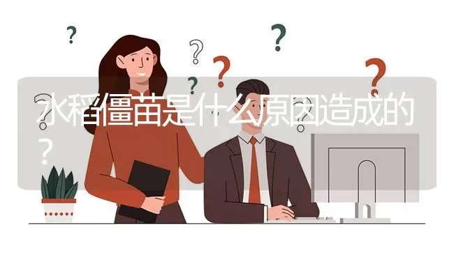 水稻僵苗是什么原因造成的? | 养殖问题解答