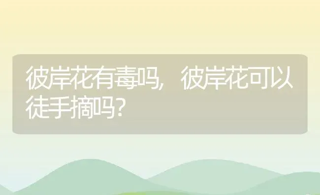 彼岸花有毒吗,彼岸花可以徒手摘吗？ | 养殖常见问题