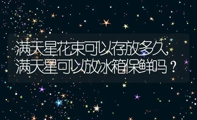 满天星花束可以存放多久,满天星可以放冰箱保鲜吗？ | 养殖常见问题