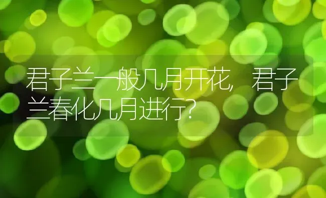 君子兰一般几月开花,君子兰春化几月进行？ | 养殖常见问题