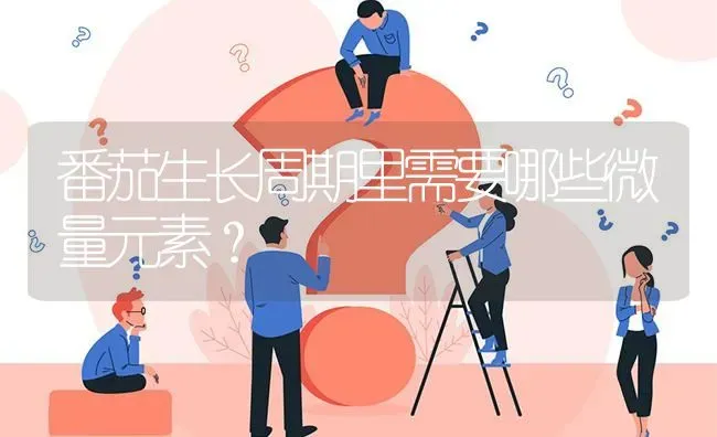 番茄生长周期里需要哪些微量元素? | 养殖问题解答