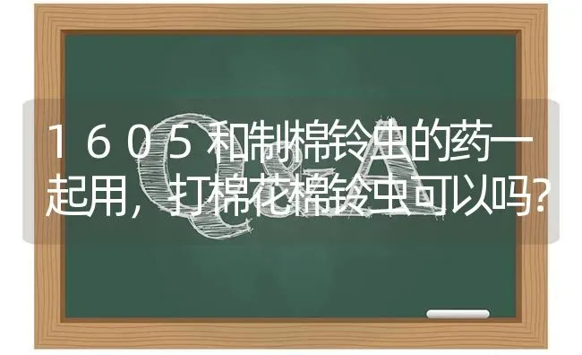 1605和制棉铃虫的药一起用,打棉花棉铃虫可以吗? | 养殖问题解答