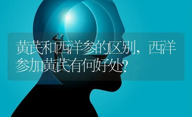 黄芪和西洋参的区别,西洋参加黄芪有何好处？ | 养殖常见问题