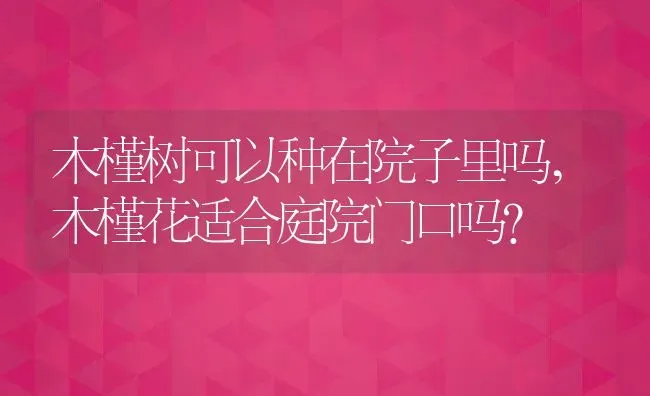 木槿树可以种在院子里吗,木槿花适合庭院门口吗？ | 养殖常见问题