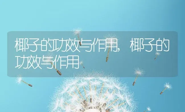 椰子的功效与作用,椰子的功效与作用 | 养殖常见问题