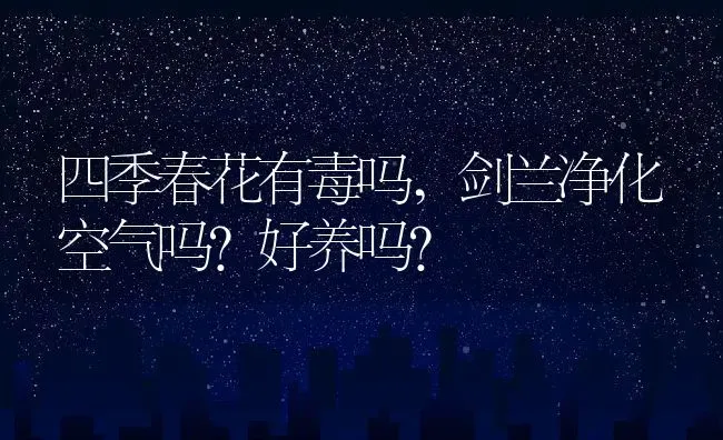 四季春花有毒吗,剑兰净化空气吗？好养吗？ | 养殖常见问题