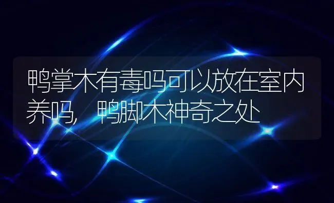 鸭掌木有毒吗可以放在室内养吗,鸭脚木神奇之处 | 养殖常见问题